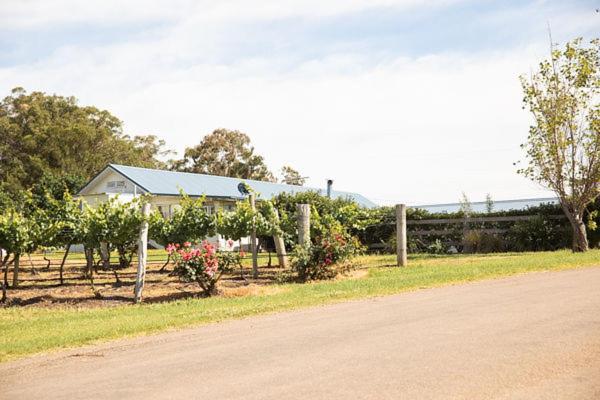 Audrey Wilkinson Vineyard Guest House Pokolbin Eksteriør bilde